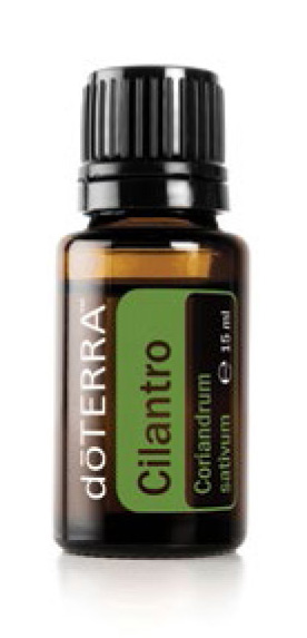 09 – Cilantro.