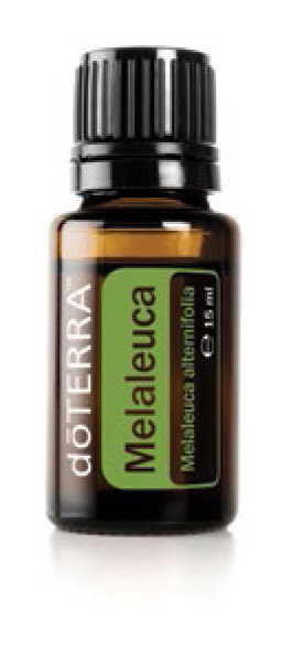 30 – Melaleuca